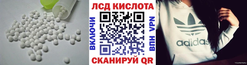 shop клад  где купить наркоту  Кашин  Лсд 25 экстази ecstasy 