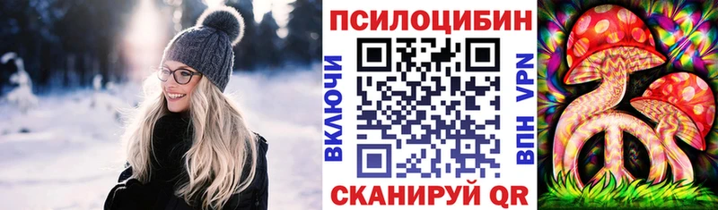 blacksprut ССЫЛКА  сайты даркнета наркотические препараты  Галлюциногенные грибы GOLDEN TEACHER  хочу наркоту  Кашин 